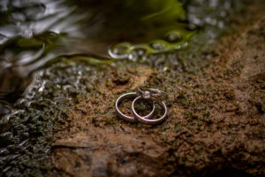 Dos alianzas y un anillo en la naturaleza. Para una boda en Sevilla organizada por la Wedding Planner Flory Ferreras.